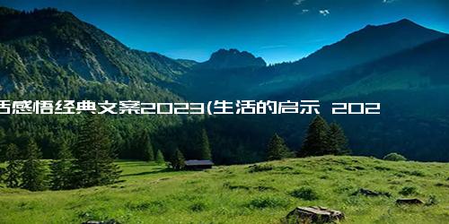 生活感悟经典文案2023(生活的启示 2023留给我们什么？)